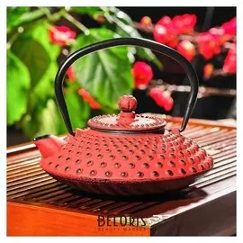 Чайник с ситом 500 мл "Марокко", цвет красный, с эмалированным покрытием внутри