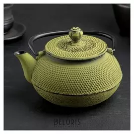 Чайник с ситом 600 мл "Восточная ночь", зеленый, эмалированное покрытие внутри