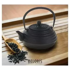 Чайник с ситом «Атьяф», 700 мл, цвет чёрный