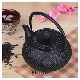 Чайник с ситом «Восточная ночь», 600 мл, цвет чёрный, с эмалированным покрытием внутри