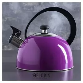 Чайник со свистком 1,8 л "Радуга", фиксированная ручка, цвет сиреневый