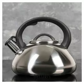 Чайник со свистком 2,8 л "Квант", фиксированная ручка, цвет чёрный