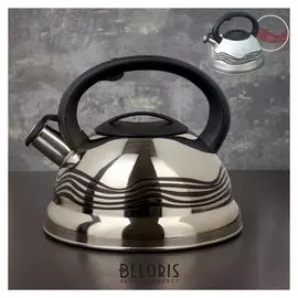 Чайник со свистком 2,8 л "Волна", с индикатором нагрева, фиксированная ручка