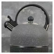 Чайник со свистком 2 л "Орион", фиксированная ручка, цвет серый