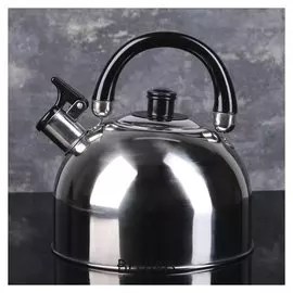 Чайник со свистком 3 л "Черная ночь", фиксированная ручка