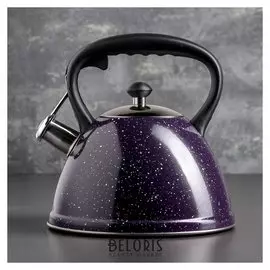 Чайник со свистком «Картун», 3 л, капсулированное дно, индукция