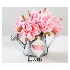 Цветочный комплимент "Хорошего настроения" 8.5 × 5 × 8.5 см