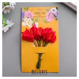 Цветы для декорирования "Красные каллы" 1 букет=12 цветов 16х9 см