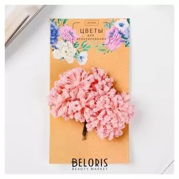 Цветы для декорирования "Розовые мечты" 1 букет=12 цветов 16х9 см