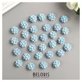 Декор для творчества пластик "Голубые пионы", набор 30 шт. 1х1 см