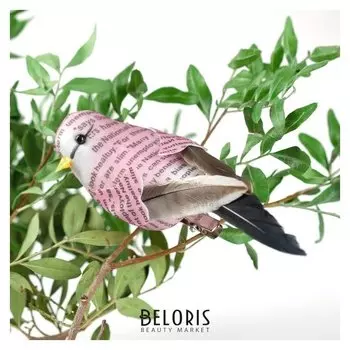 Декор на прищепке птички