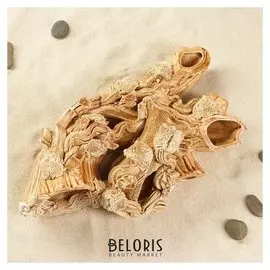 Декорация для аквариума "Композиция: амфора на коряге", 11 х 27 х 11 см