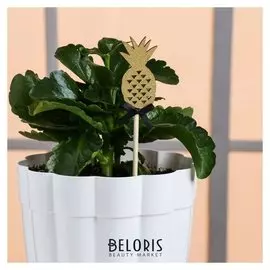 Декоративный штекер «Ананас», 7 × 14 см