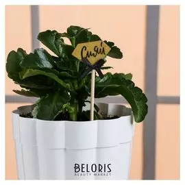 Декоративный штекер «Сияй», 7 × 14 см