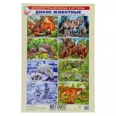 Демонстрационные картины "Дикие животные" 8 плакатов, А3+