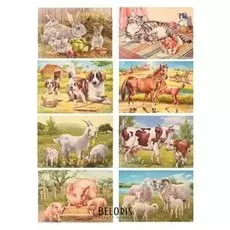 Демонстрационные картины "Домашние животные" 8 плакатов, А3+