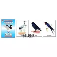 Демонстрационный материал Перелетные птицы