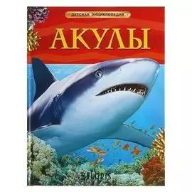 Детская энциклопедия Акулы