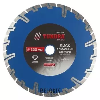 Диск алмазный отрезной Tundra, сегментный с защитными секторами, сухой рез, 230 х 22 мм