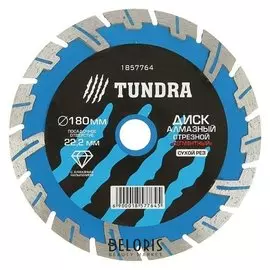 Диск алмазный отрезной Tundra, сегментный с защитными секторами, сухой рез, 180 х 22 мм