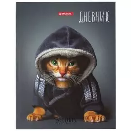 Дневник 1-4 класс 48 л., твердый, глянцевая ламинация, с подсказом, "Я чемпион"