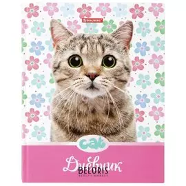 Дневник 5-11 класс 48 л., твердый, выборочный лак, с подсказом, "Милый котенок"