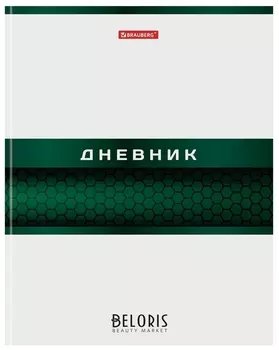 Дневник 5-11 класс, 48 л., твердый, металлизированный картон, с подсказом, "Металлик"