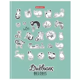 Дневник 5-11 класс, 48 л., твердый, глянцевая ламинация, с подсказом, "Котики"