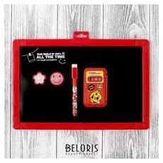 Доска магнитная двухсторонняя, под маркер и мел, мел 3 шт. в машинке, маркер, магниты 2 шт.