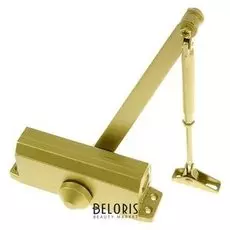 Доводчик дверной Trodos Td-100, цвет золото