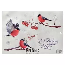 Двусторонняя металлизированная наклейка «Снегири», 21 × 29,7 см