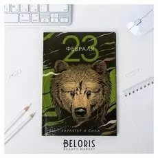 Ежедневник А5 80 л. 23 февраля медведь