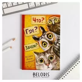 Ежедневник "Что? Где? Зачем?" А5, 80 листов