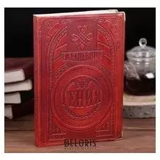 Ежедневник индия "Гений"