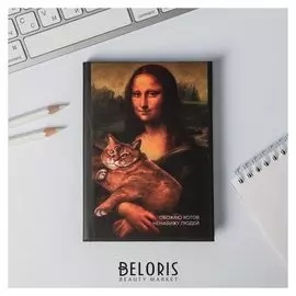 Ежедневник мини Обожаю котов, ненавижу людей 80 листов