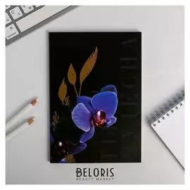 Ежедневник в точку "ТЫ чудесна", 64 листа