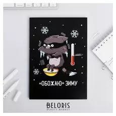 Ежедневник Зимняя коллекция Обожаю зиму формат А5, 80 листов