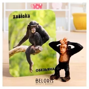 Фигурка «Обезьяна», с обучающей карточкой