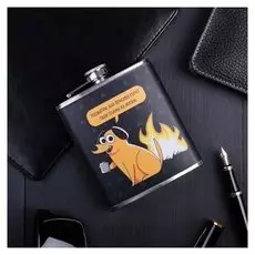 Фляжка «Планы на жизнь», 210 мл