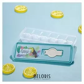 Форма для льда кубики "Летняя прохлада"