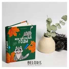 Фотоальбом 10 магнитных листов «Мои школьные годы», 16 х 19 см