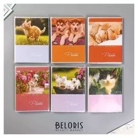 Фотоальбом Brauberg на 36 фото 10х15 см "Котята/щенки"