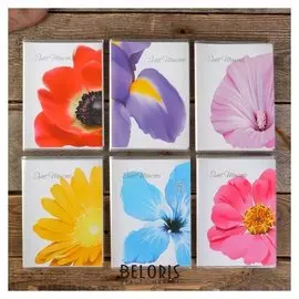 Фотоальбом Brauberg на 36 фото 10х15 см "Цветы"