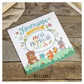 Фотоальбом-календарь 24 страницы "Мой первый год" 29х28,5 см