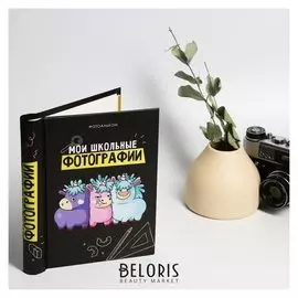 Фотоальбом «Мои школьные фотографии», 10 магнитных листов