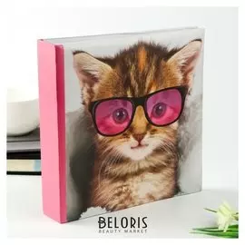 Фотоальбом на 200 фото 10х15 см "Котёнок в очках"