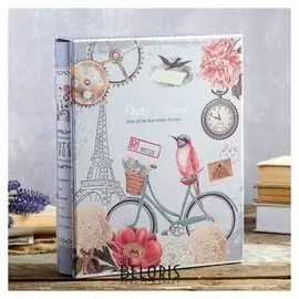 Фотоальбом на 200 фото 13х18 см "Велосипед и птица" в коробке, с зол.об 30х23,5х5,5 см 462883