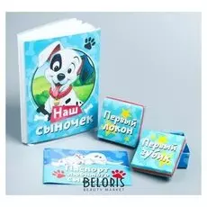 Фотоальбом на 36 фото и памятные коробочки "Наш любимый сыночек", 101 далматинец