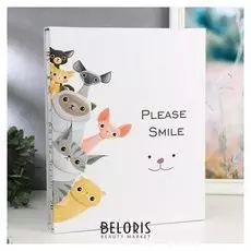 Фотоальбом на 400 фото 10х15 см "Котики-шпионы" в коробке 35,2х28,7х5,5 см