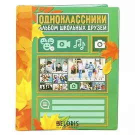 Фотоальбом "Одноклассники", 10 магнитных листов размером 12 х 18,7 см